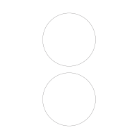 30025 - Label Size 160mm dia - 2 label(s) per sheet