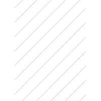 30027 - Backslit - 12 (45° Angle) Slit - Diagonal (60mm apart - Centred)