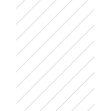 30027 - Backslit - 12 (45° Angle) Slit - Diagonal (60mm apart - Centred) 