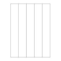 40416 - Label Size 38.5mm x 261mm - 5 label(s) per sheet