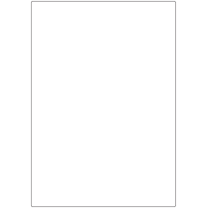 10891 - Label Size 204mm x 289mm - 240 labels per roll 