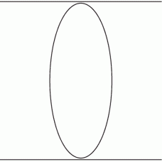 1127 - Label Size 100mm x 250mm Oval - 275 labels per roll 